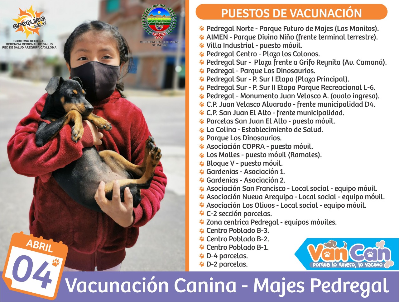 Conoce AQUI los lugares. Este domingo 04 de abril vacunarán contra la rabia a más de seis mil perros en Majes – Pedregal