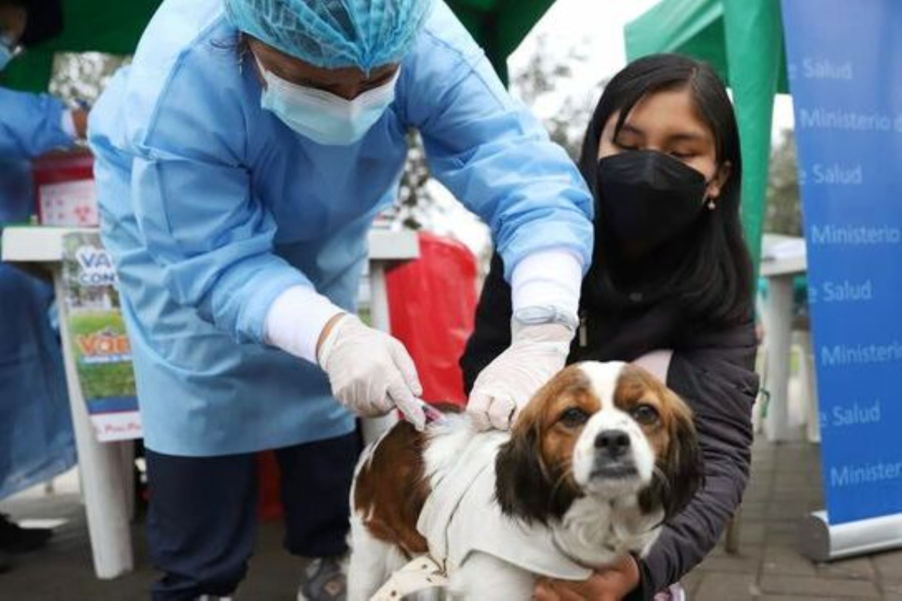 ¡Vacuna a tu Engreido! Este fin de semana continúa vacunación antirrábica canina en Cerro Colorado