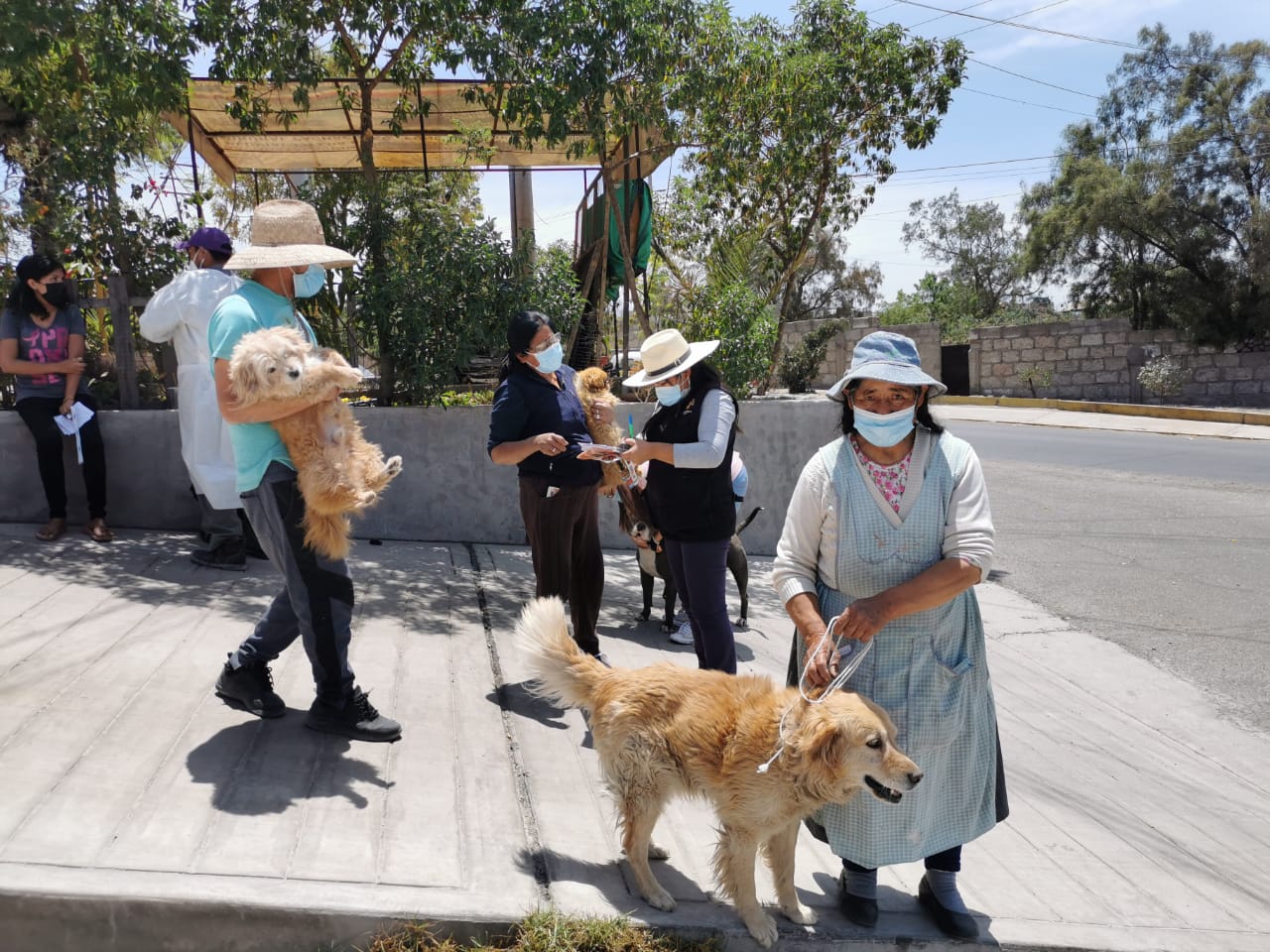 Personal de Salud logró la inmunización de más de 250 canes en el distrito de Cerro Colorado