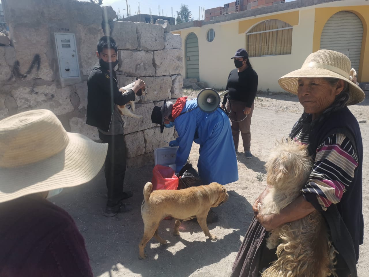 Realizarán vacunación antirrábica canina en el cono sur de Arequipa