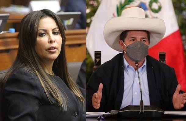 Patricia Chirinos presenta denuncia constitucional contra Pedro Castillo