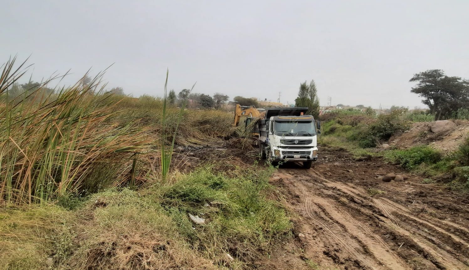 Maquinaria de Gobierno Regional trabaja en limpieza de estanque en Castilla