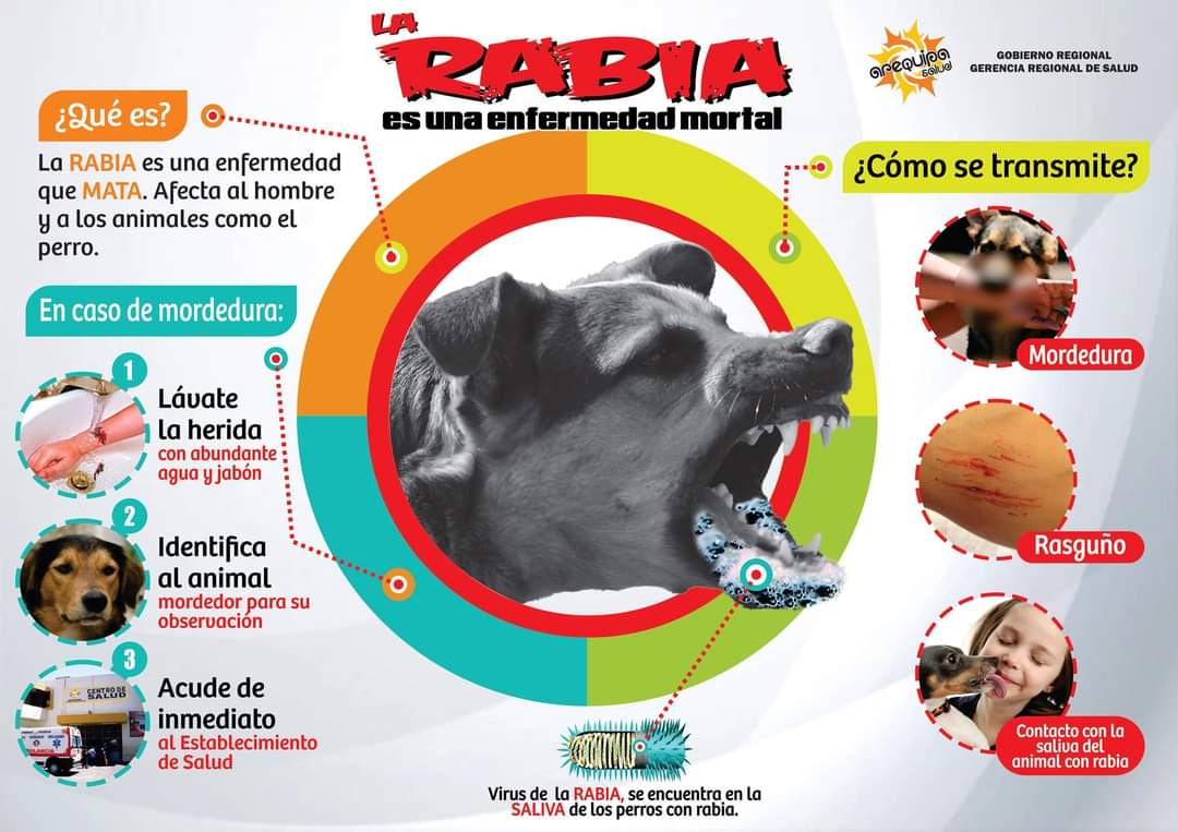 GERESA diagnostica tres nuevos casos de rabia canina en la región