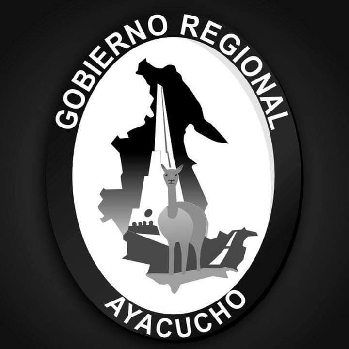 Tras muerte de siete personas Ayacucho pide renuncia de Ministros y dimisión de Dina Boluarte