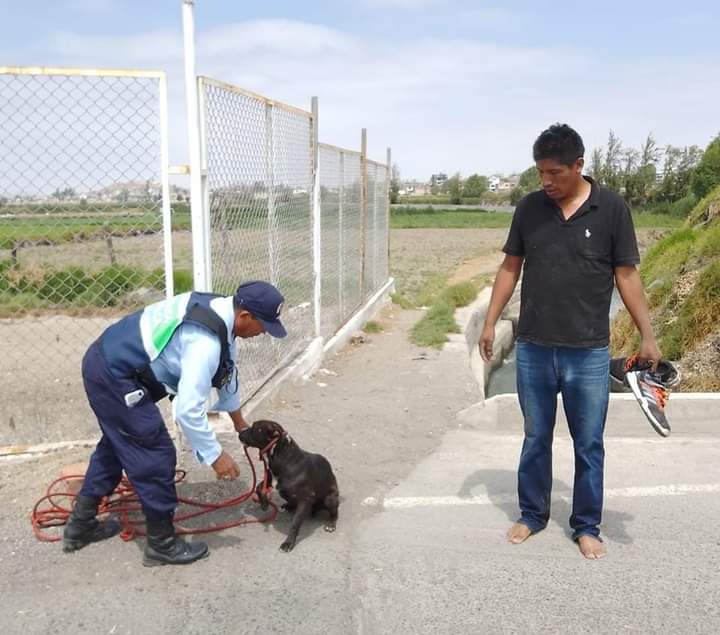 Serenos de Sachaca logran rescatar a perrito que había caído al canal de El Cural y era arrastrado por la corriente