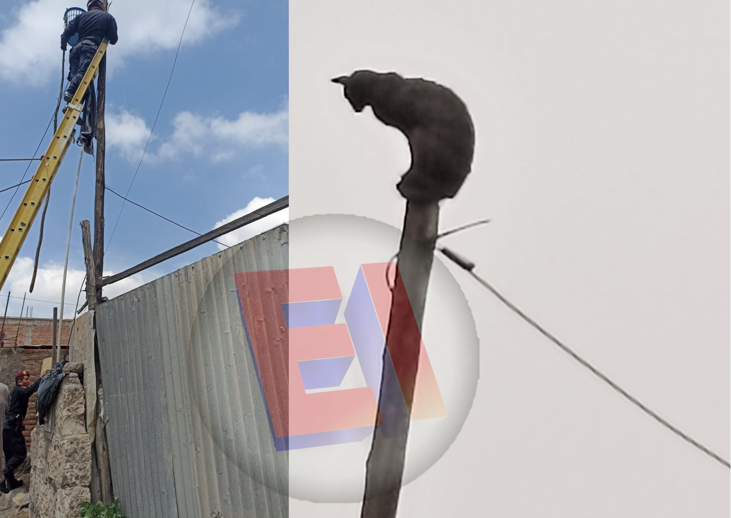 Gatito se lanzó a techo de una casa, cuando iba a ser rescatado por efectivos de la PNP
