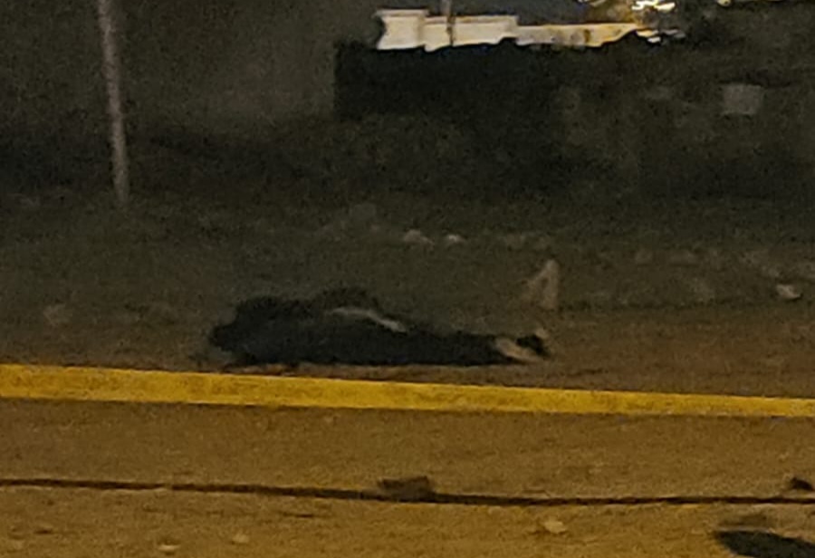 Nuevo feminicidio ocurrió en la ciudad de Arequipa. Asesino también se quitó la vida