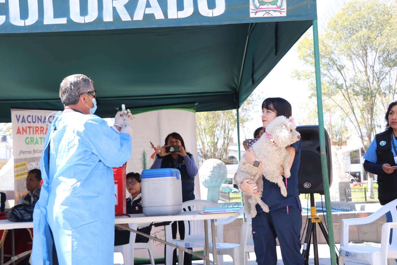 Buscarán inmunizar a más de 50 mil canes en campaña de Vacunación Antirrábica en el distrito de Cerro Colorado