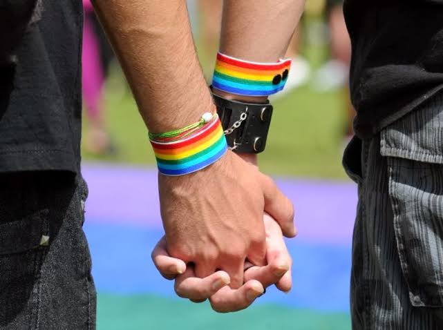 Congresista Moyano plantea unión civil entre parejas del mismo sexo