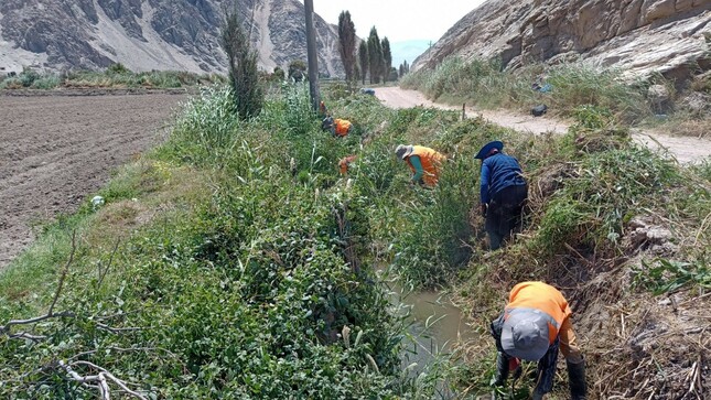 Con la supervisión de la ANA se da inicio a labores de limpieza y mantenimiento de canales de riego en provincia Castilla