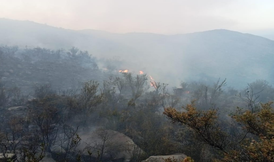 Incendio forestal en sector de Sondor, distrito de Cahuacho, en Caravelí fue controlado