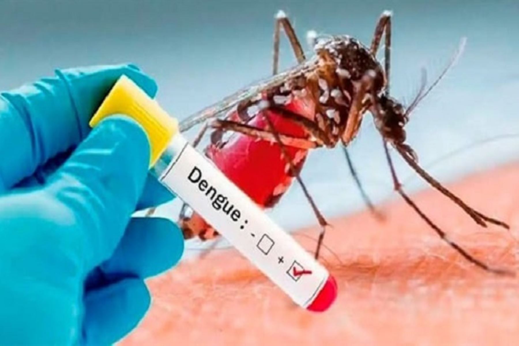 Dengue avanza y Ministerio de Salud anuncia declaratoria de emergencia en 20 regiones del País